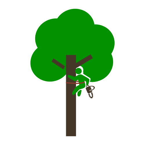 Tree Surgery